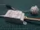 Bộ Công Tắc Cảm Biến Chuyển Động Và Ánh Sáng 220V Ver2
